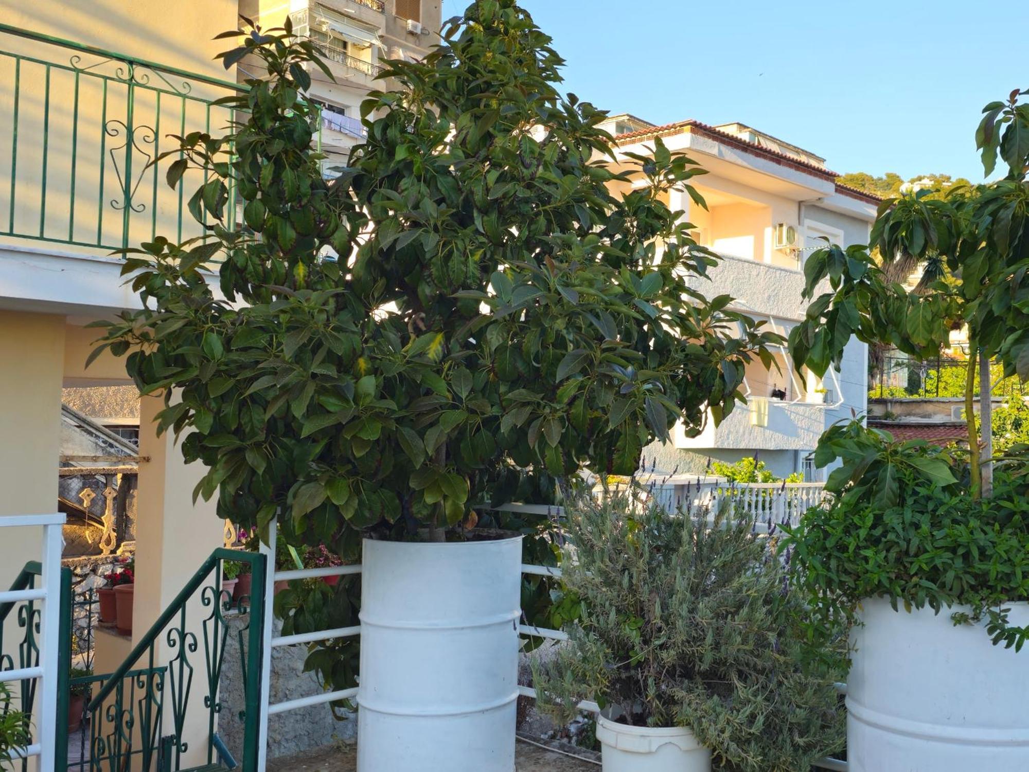 Joen Apartments Sarandë Exterior foto